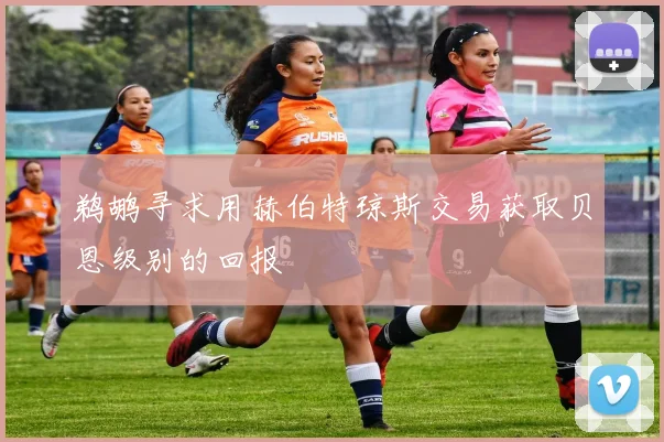 鹈鹕寻求用赫伯特琼斯交易获取贝恩级别的回报