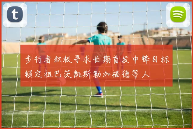 步行者积极寻求长期首发中锋目标锁定祖巴茨凯斯勒加福德等人