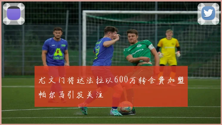 尤文门将达法拉以600万转会费加盟帕尔马引发关注