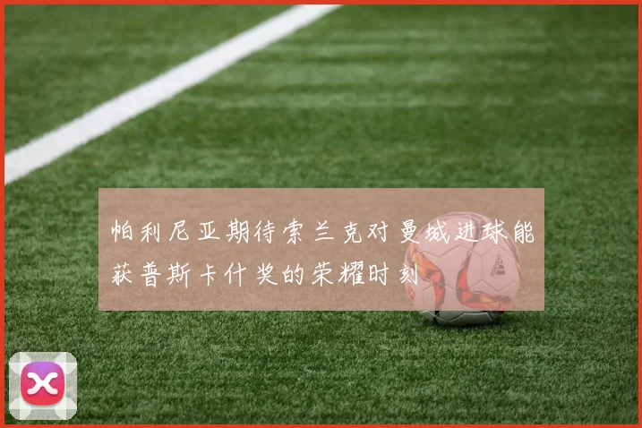 帕利尼亚期待索兰克对曼城进球能获普斯卡什奖的荣耀时刻